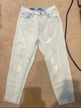 wild fable Light  Distressed High Rise Mom Jeans Size 4
